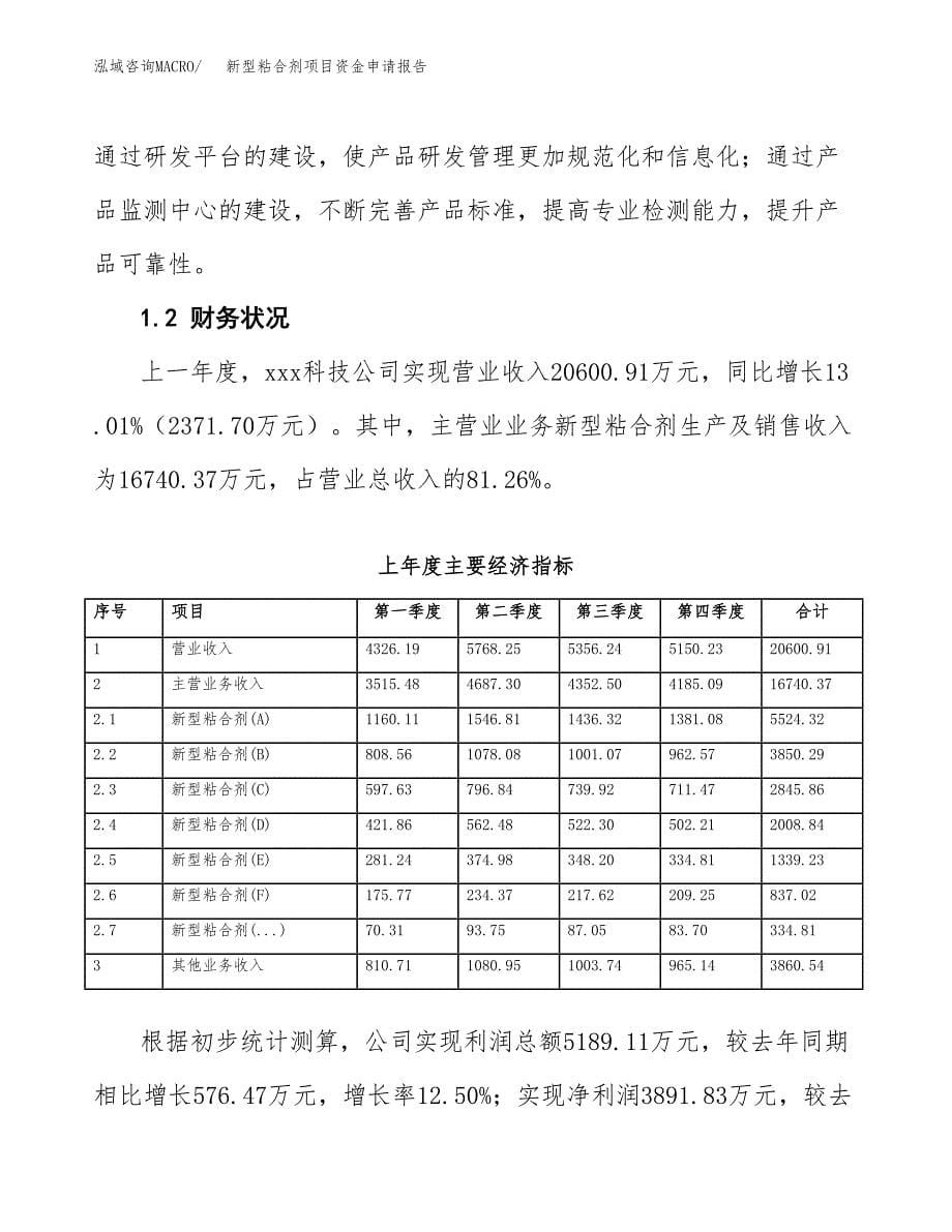 新型粘合剂项目资金申请报告.doc_第5页