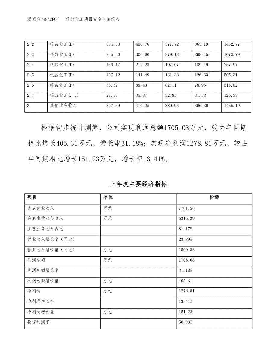 银盐化工项目资金申请报告.docx_第5页