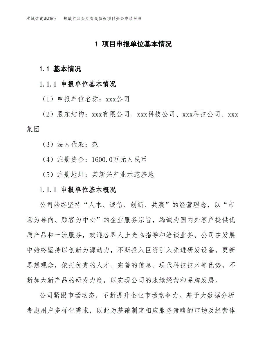 热敏打印头及陶瓷基板项目资金申请报告.docx_第3页