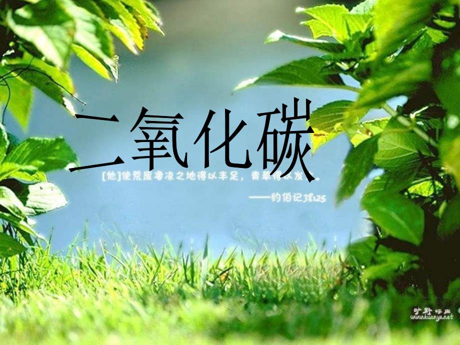 浙科版必修1第五节《光合作用》ppt课件1.ppt_第1页