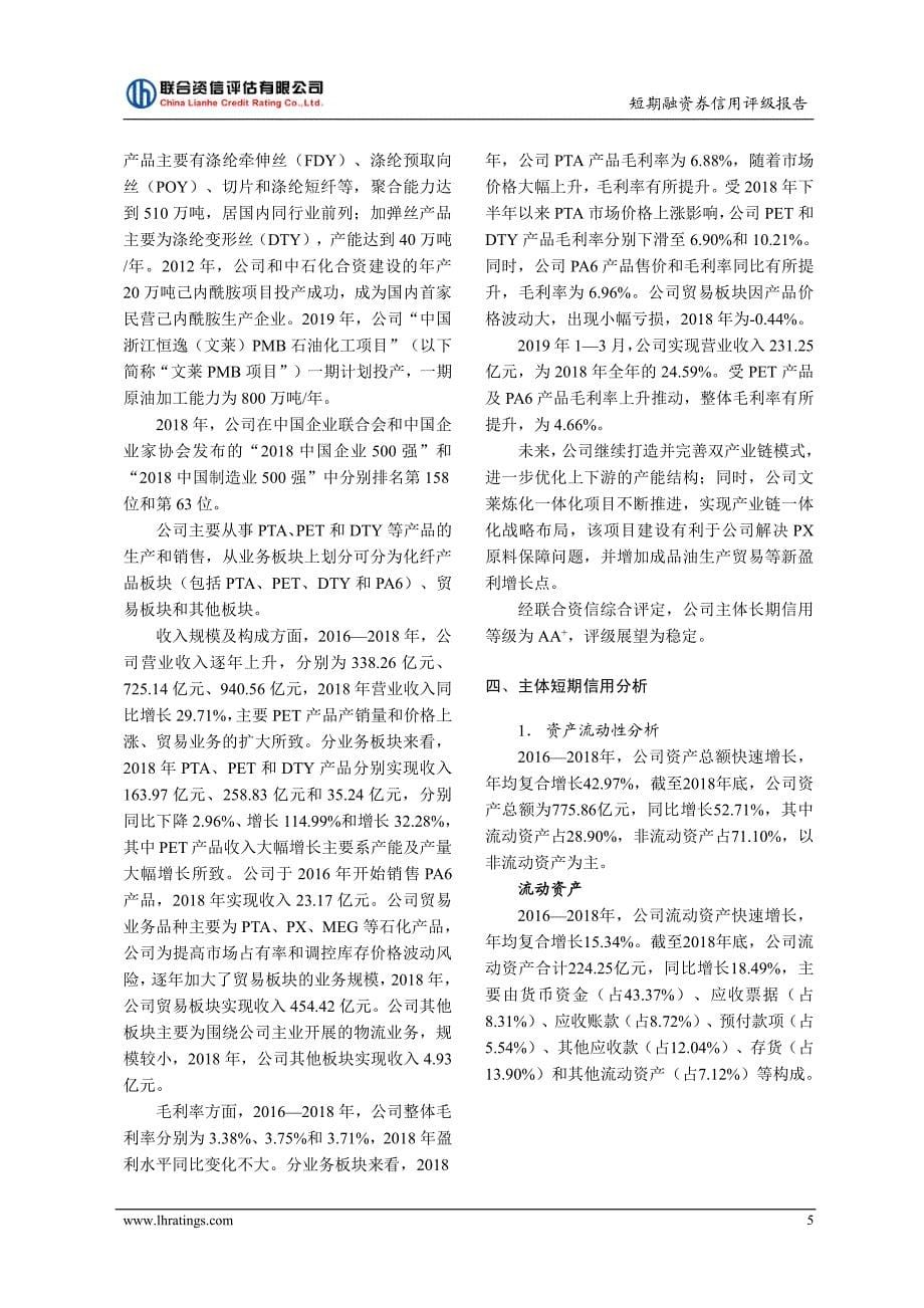 浙江恒逸集团有限公司2019第一期短期融资券信用评级报告_第5页