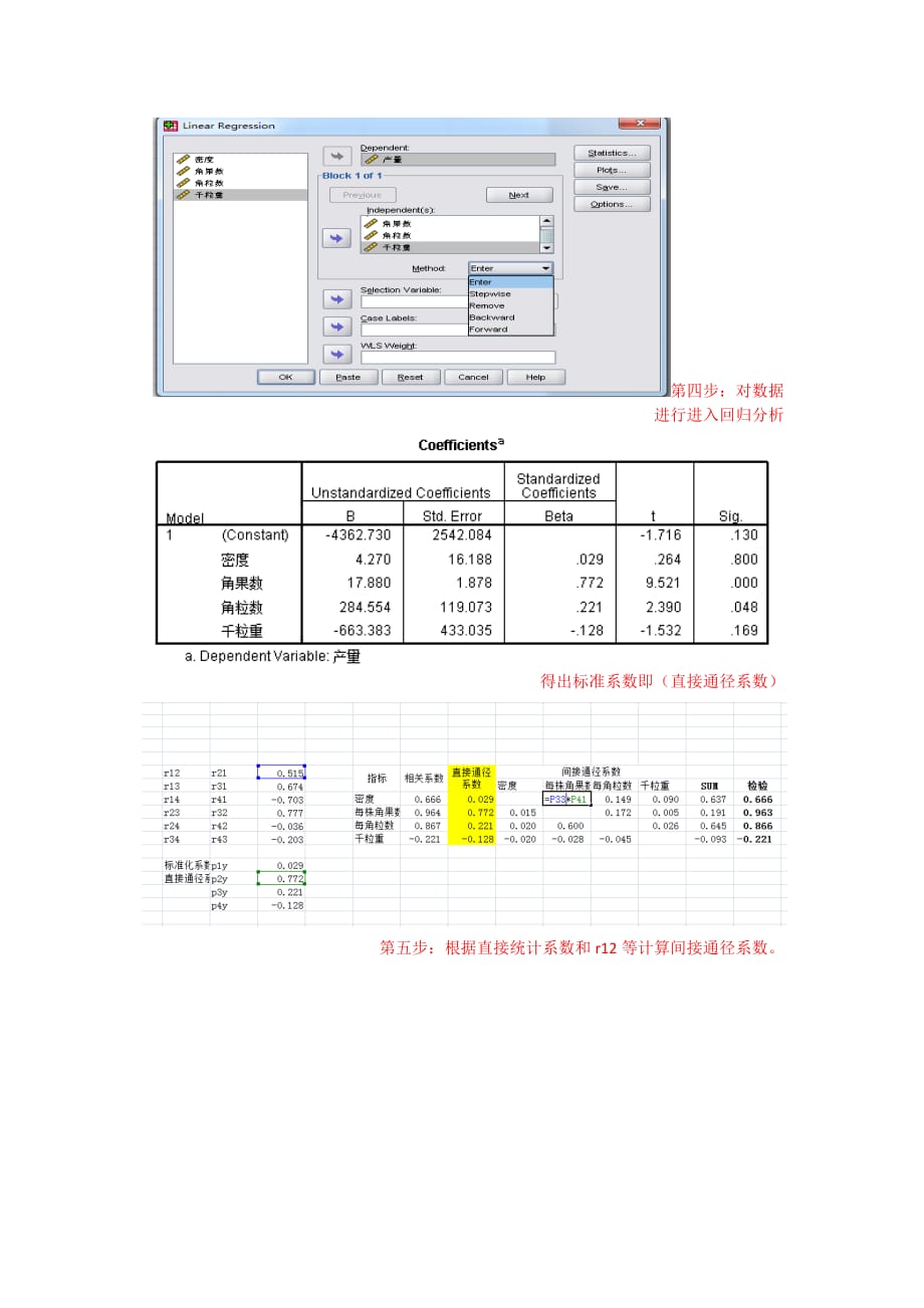 通径分析方法_第2页