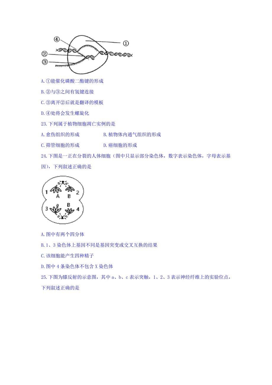 浙江省选考（学考）十校联盟高三3月适应性考试生物试题 Word版含答案.doc_第5页