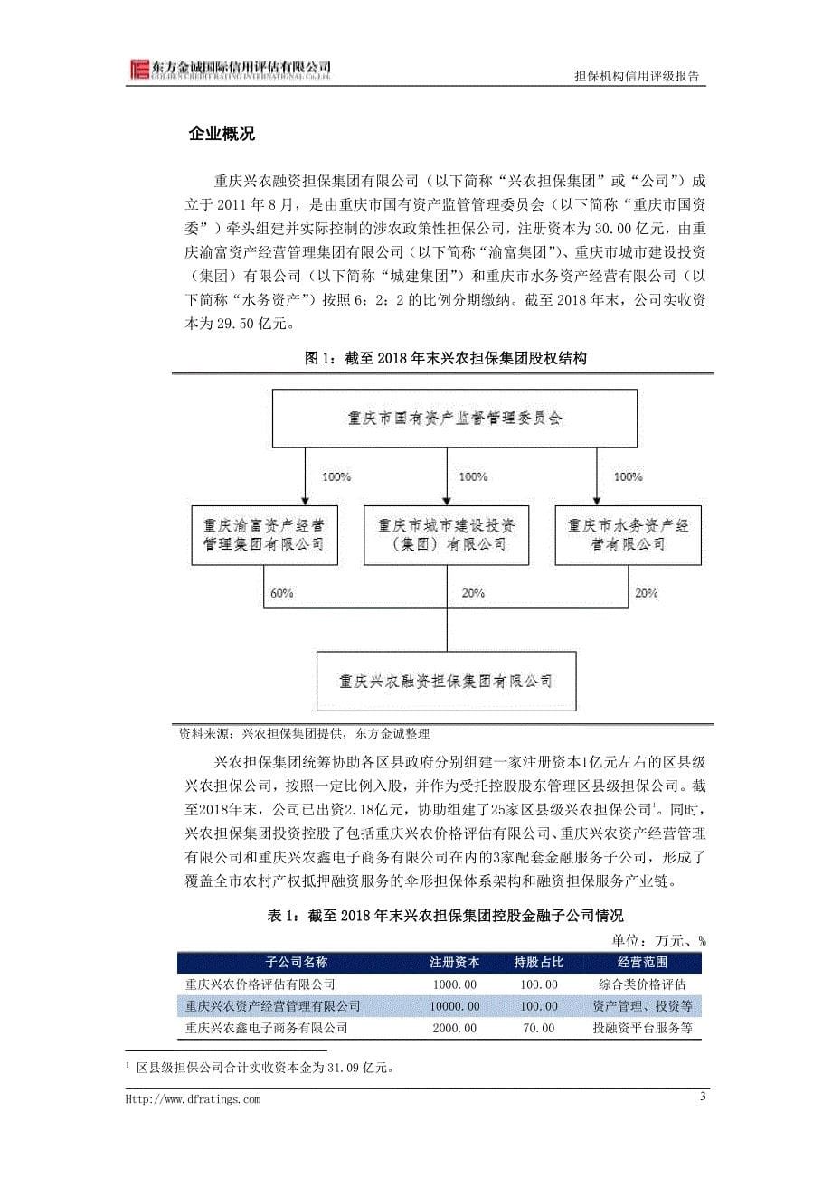 重庆兴农融资担保集团有限公司2019主体信用评级报告_第5页