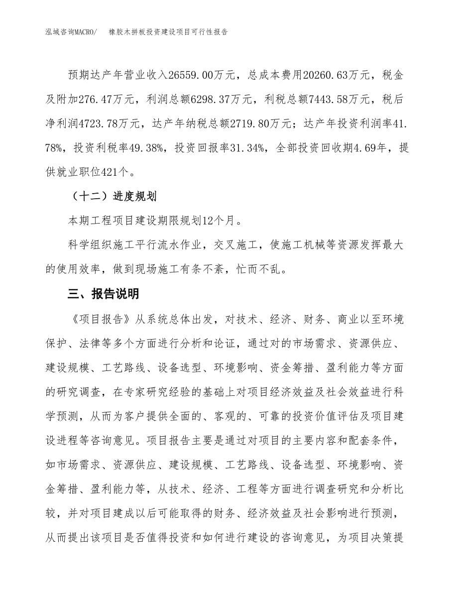 关于橡胶木拼板投资建设项目可行性报告（立项申请）.docx_第5页