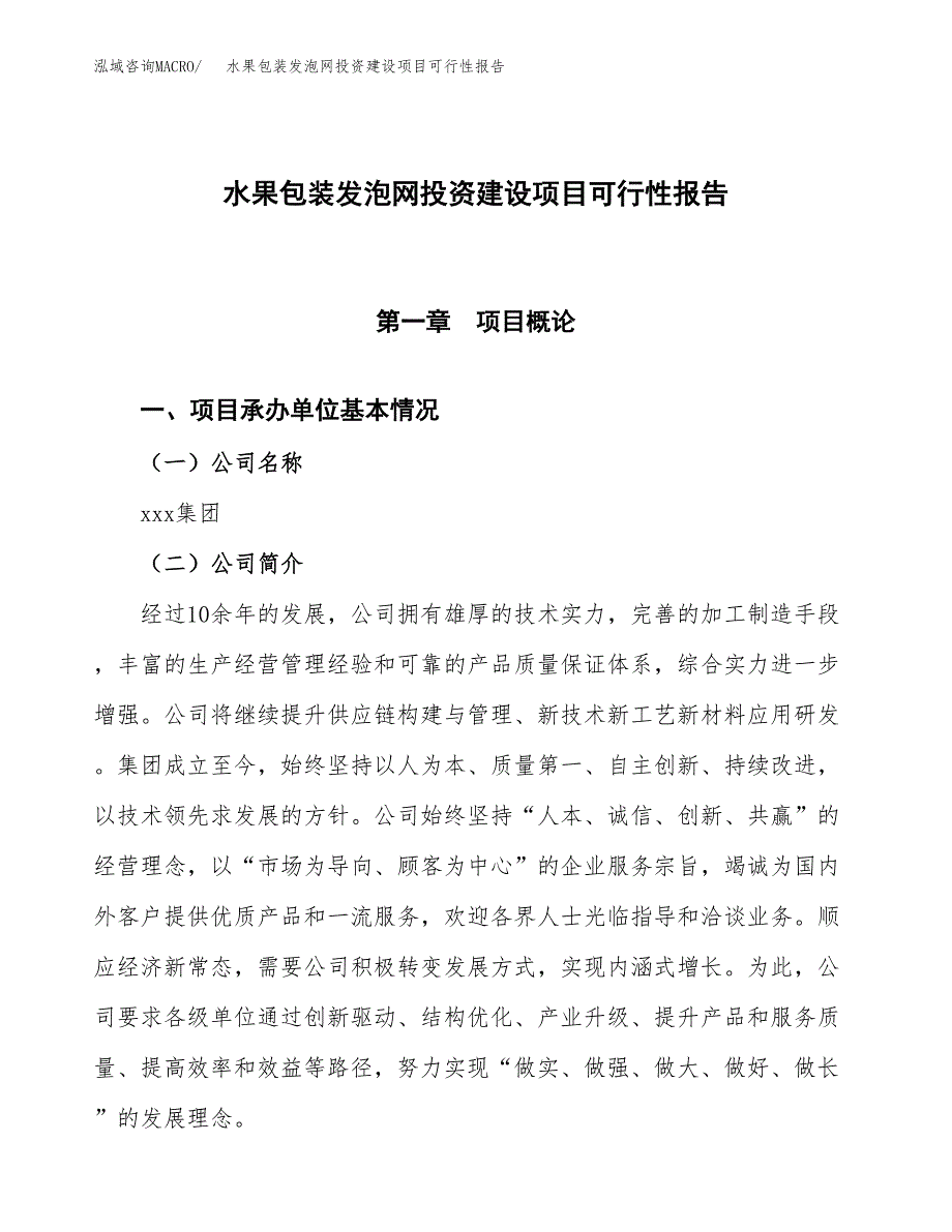 关于水果包装发泡网投资建设项目可行性报告（立项申请）.docx_第1页