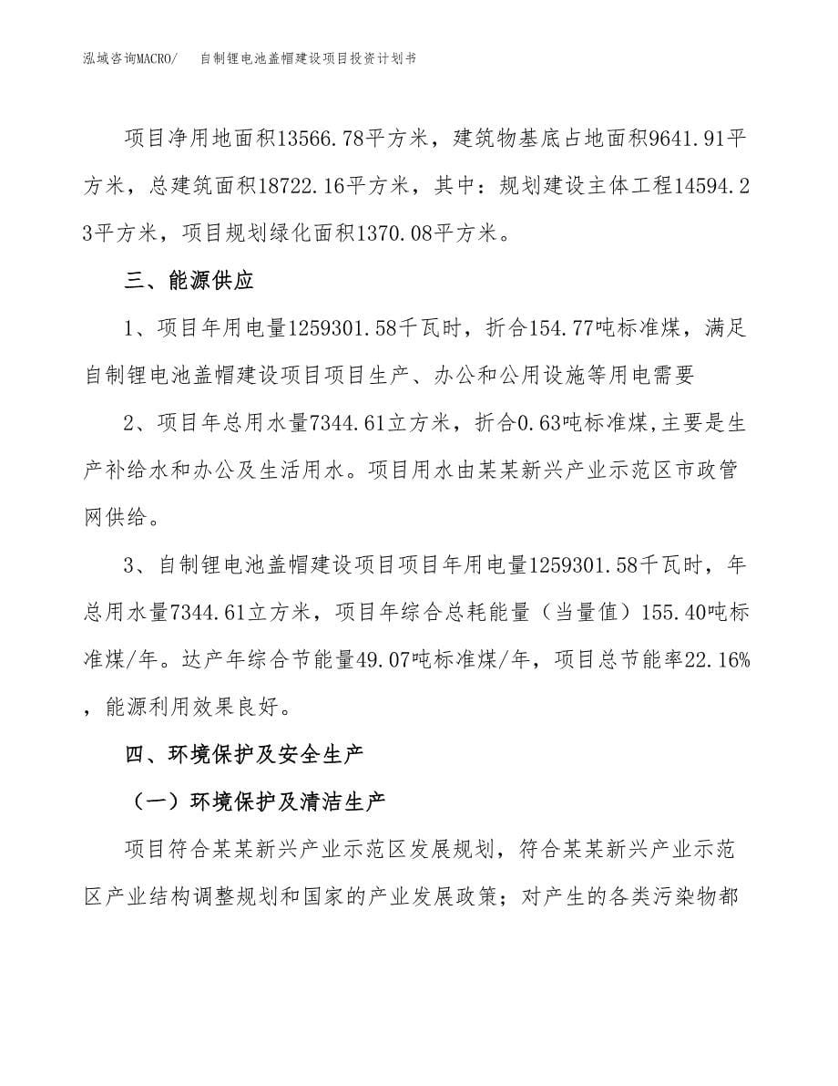 自制锂电池盖帽建设项目投资计划书(汇报材料).docx_第5页