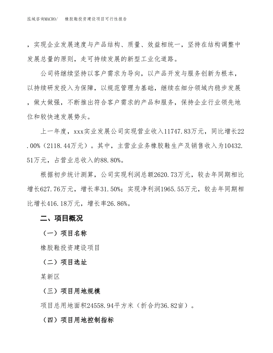 关于橡胶鞋投资建设项目可行性报告（立项申请）.docx_第2页