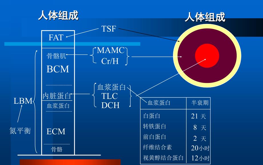 ICU营养问题(已看两遍,较好)_第2页