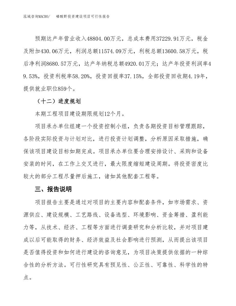 关于磷酸酐投资建设项目可行性报告（立项申请）.docx_第5页