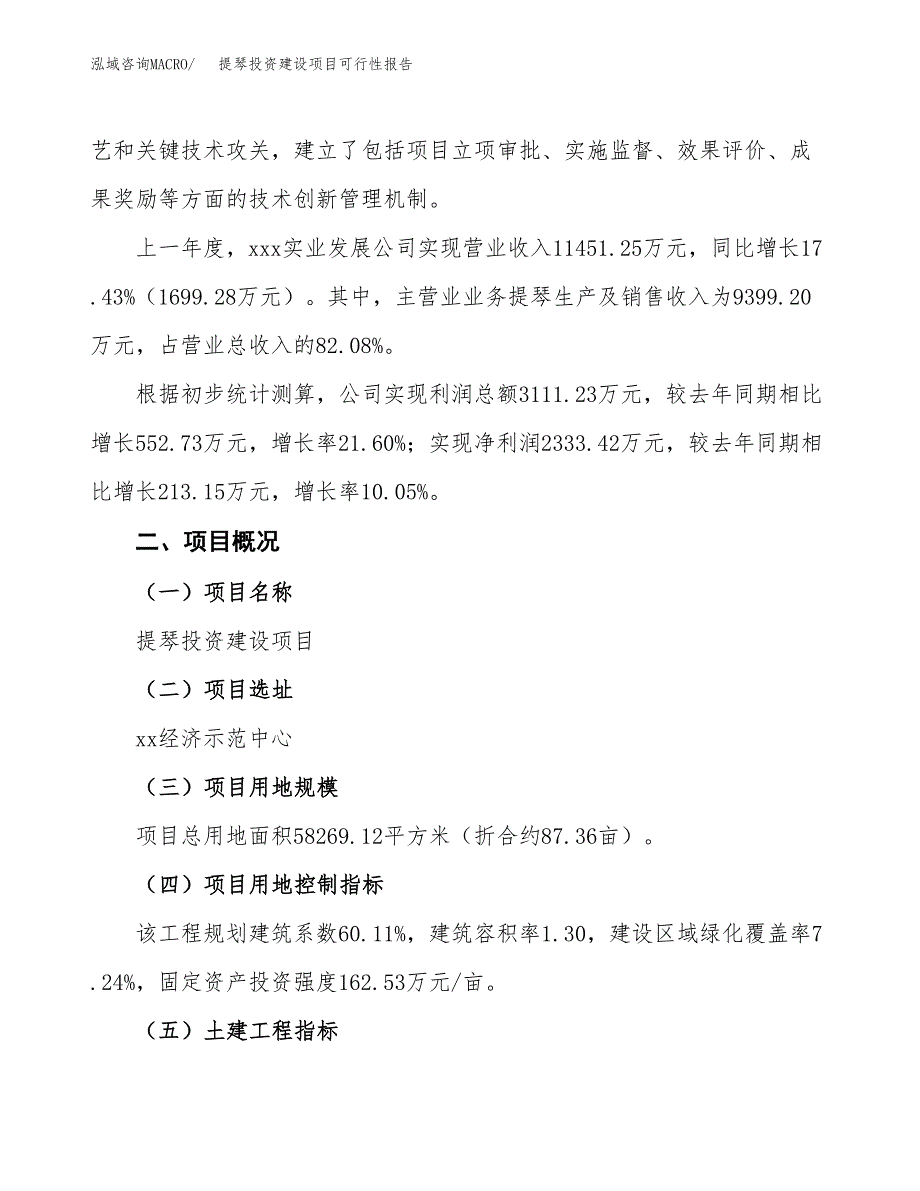 关于提琴投资建设项目可行性报告（立项申请）.docx_第2页