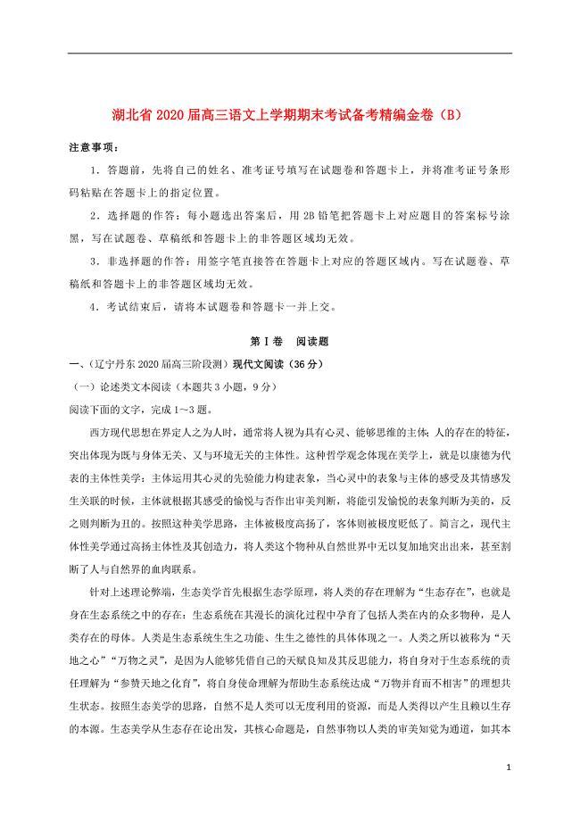 湖北省2020届高三语文上学期期末考试备考精编金卷（B）