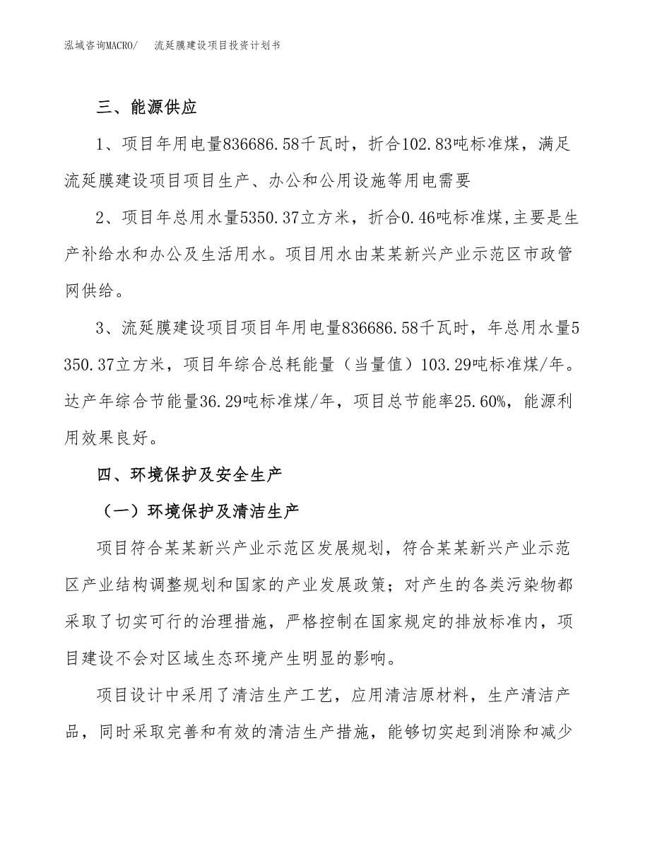 流延膜建设项目投资计划书(汇报材料).docx_第5页