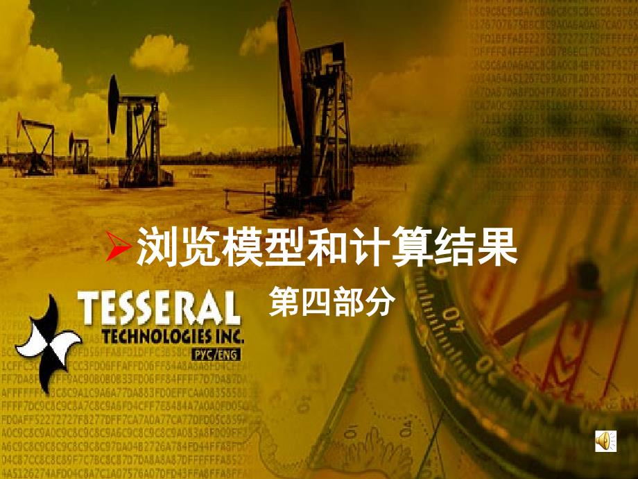 Tesseral 培训讲义5-浏览模型和计算结果_第1页