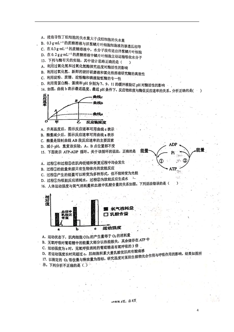 湖南省衡阳县创新实验班2019_2020学年高一生物上学期期末质量检测试题（扫描版）_第4页