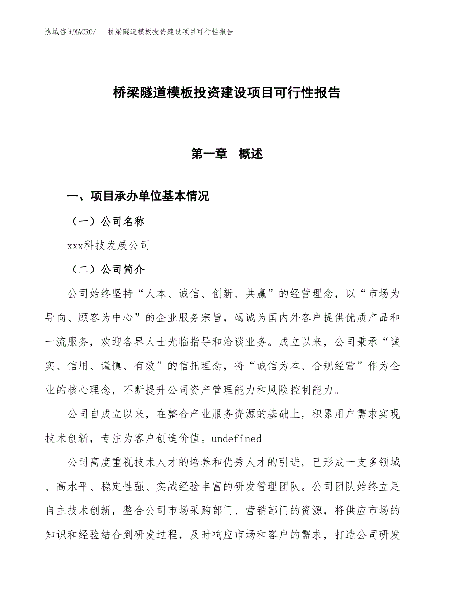 关于桥梁隧道模板投资建设项目可行性报告（立项申请）.docx_第1页