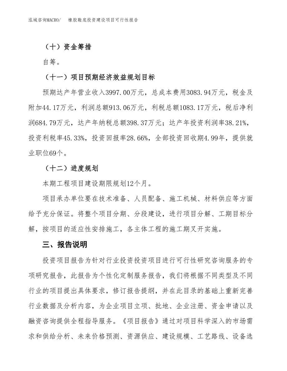 关于橡胶鞋底投资建设项目可行性报告（立项申请）.docx_第5页