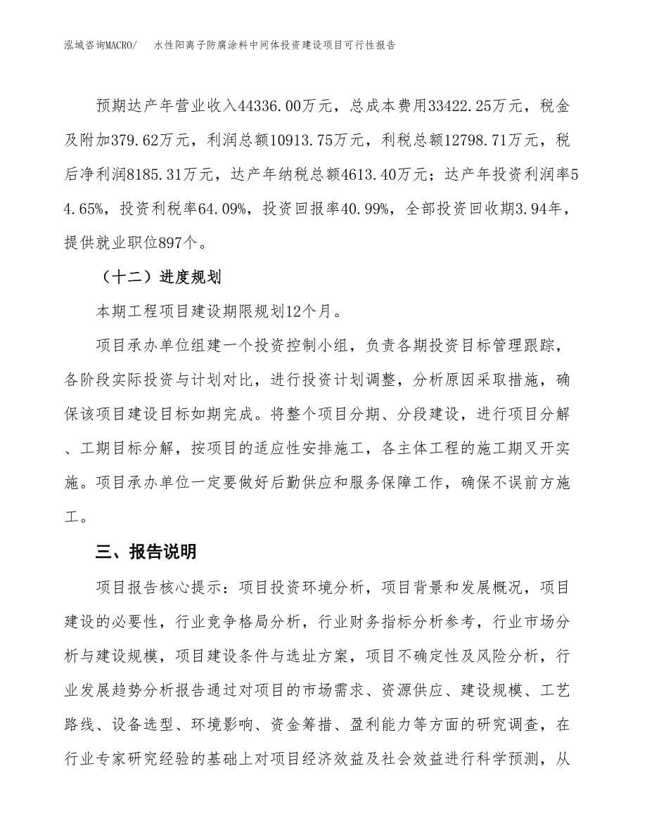 关于水性阳离子防腐涂料中间体投资建设项目可行性报告（立项申请）.docx_第5页