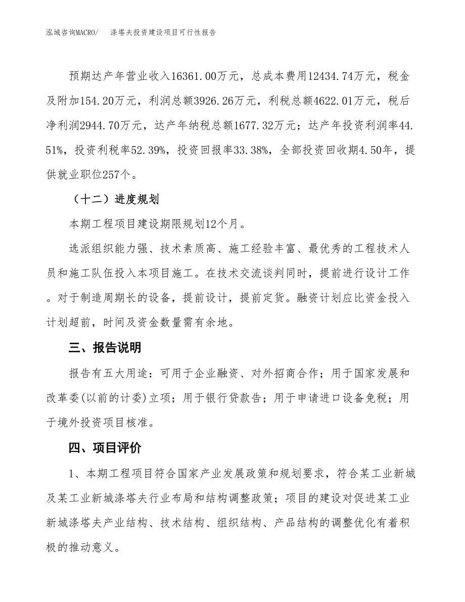 关于涤塔夫投资建设项目可行性报告（立项申请）.docx_第5页