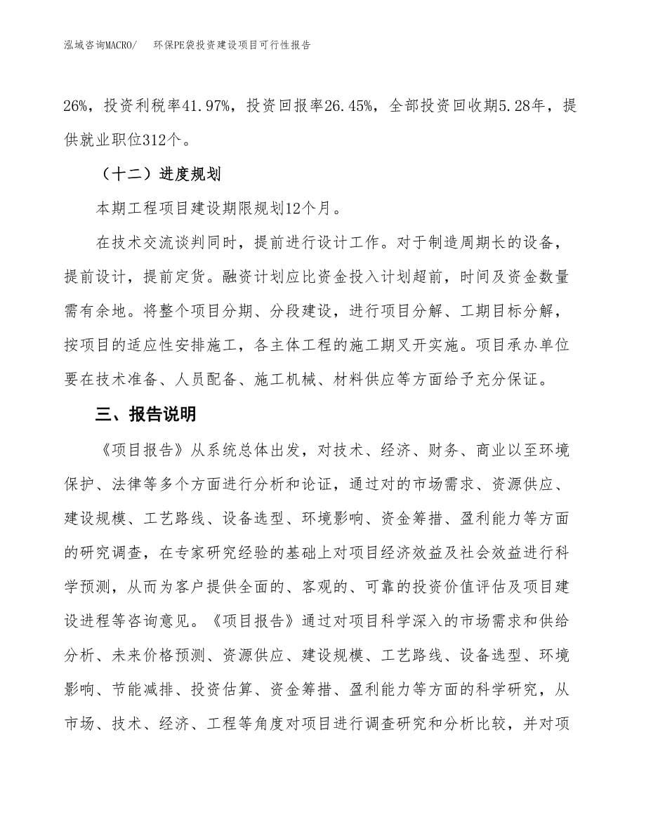 关于环保PE袋投资建设项目可行性报告（立项申请）.docx_第5页