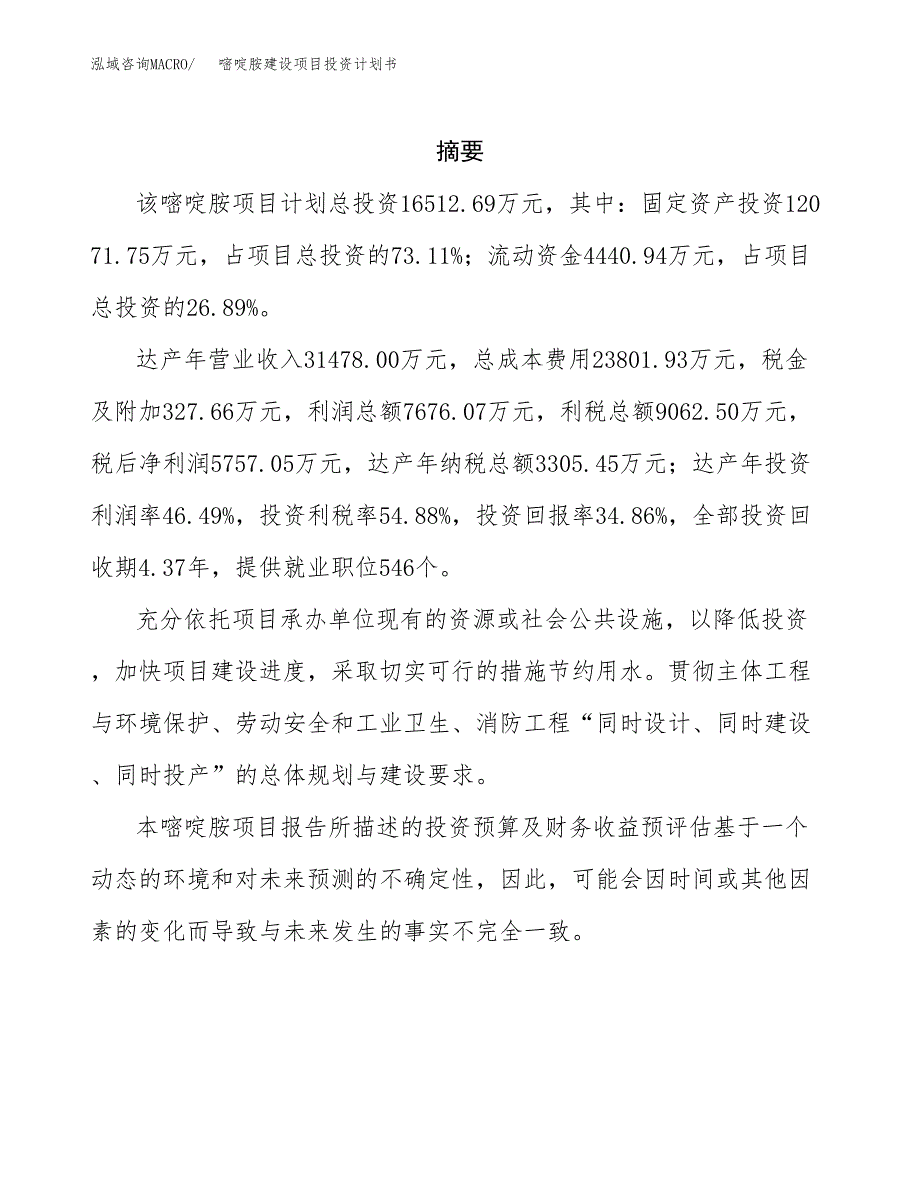 嘧啶胺建设项目投资计划书(汇报材料).docx_第2页