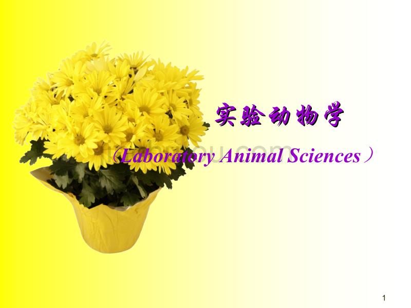 动物实验设计2012 yjs_第1页