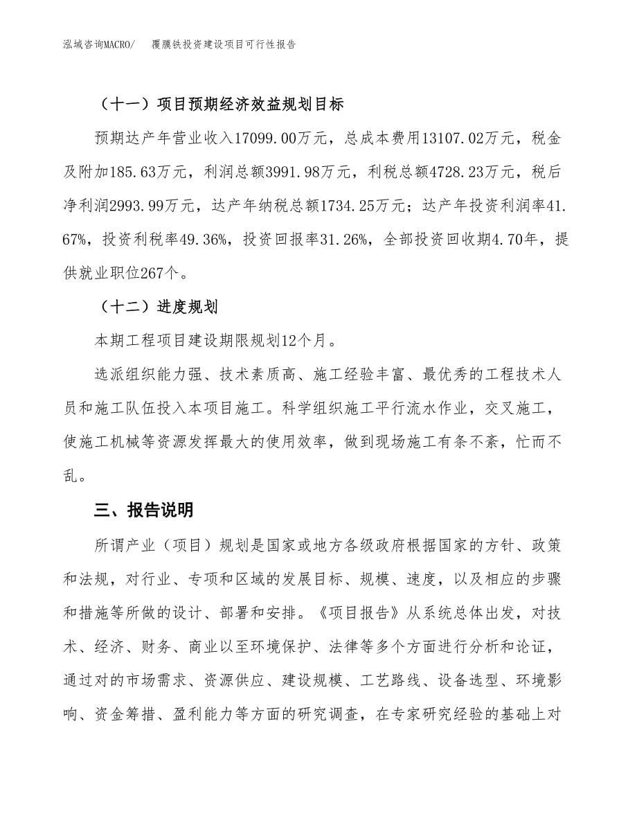 关于覆膜铁投资建设项目可行性报告（立项申请）.docx_第5页