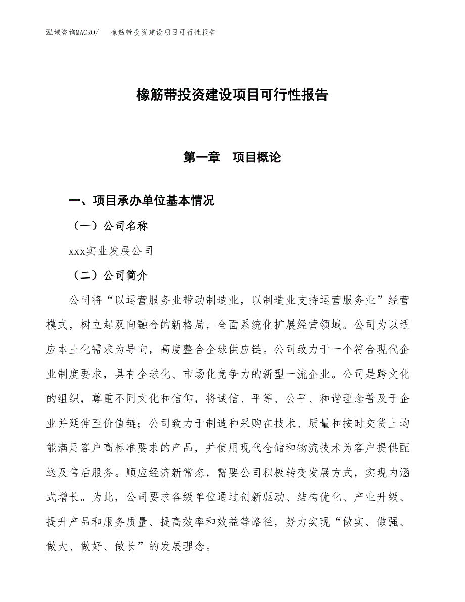 关于橡筋带投资建设项目可行性报告（立项申请）.docx_第1页