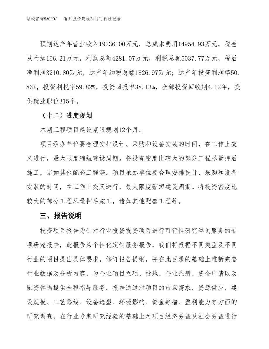 关于薯片投资建设项目可行性报告（立项申请）.docx_第5页