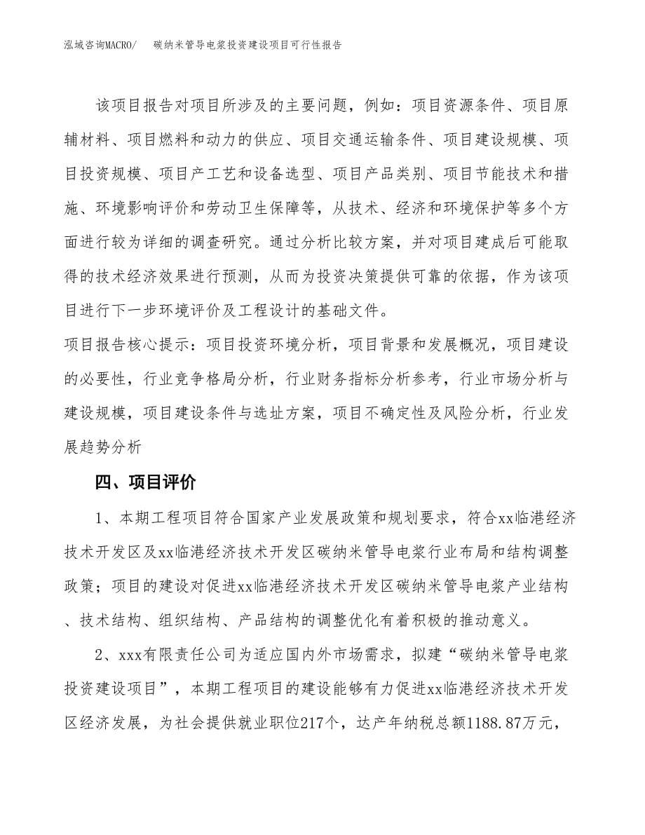 关于碳纳米管导电浆投资建设项目可行性报告（立项申请）.docx_第5页