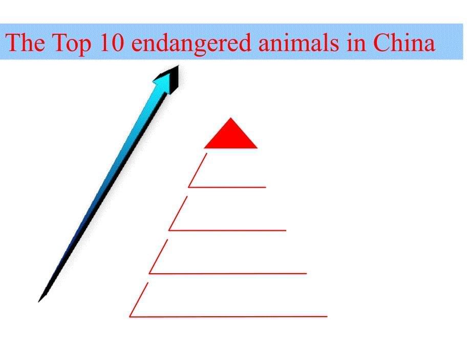 人教新课标高中英语必修(二)unit4 wildlife protectionreading 说课课件_第5页