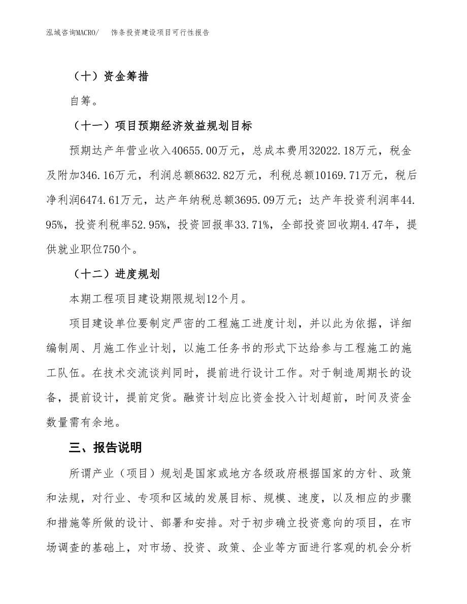 关于饰条投资建设项目可行性报告（立项申请）.docx_第5页