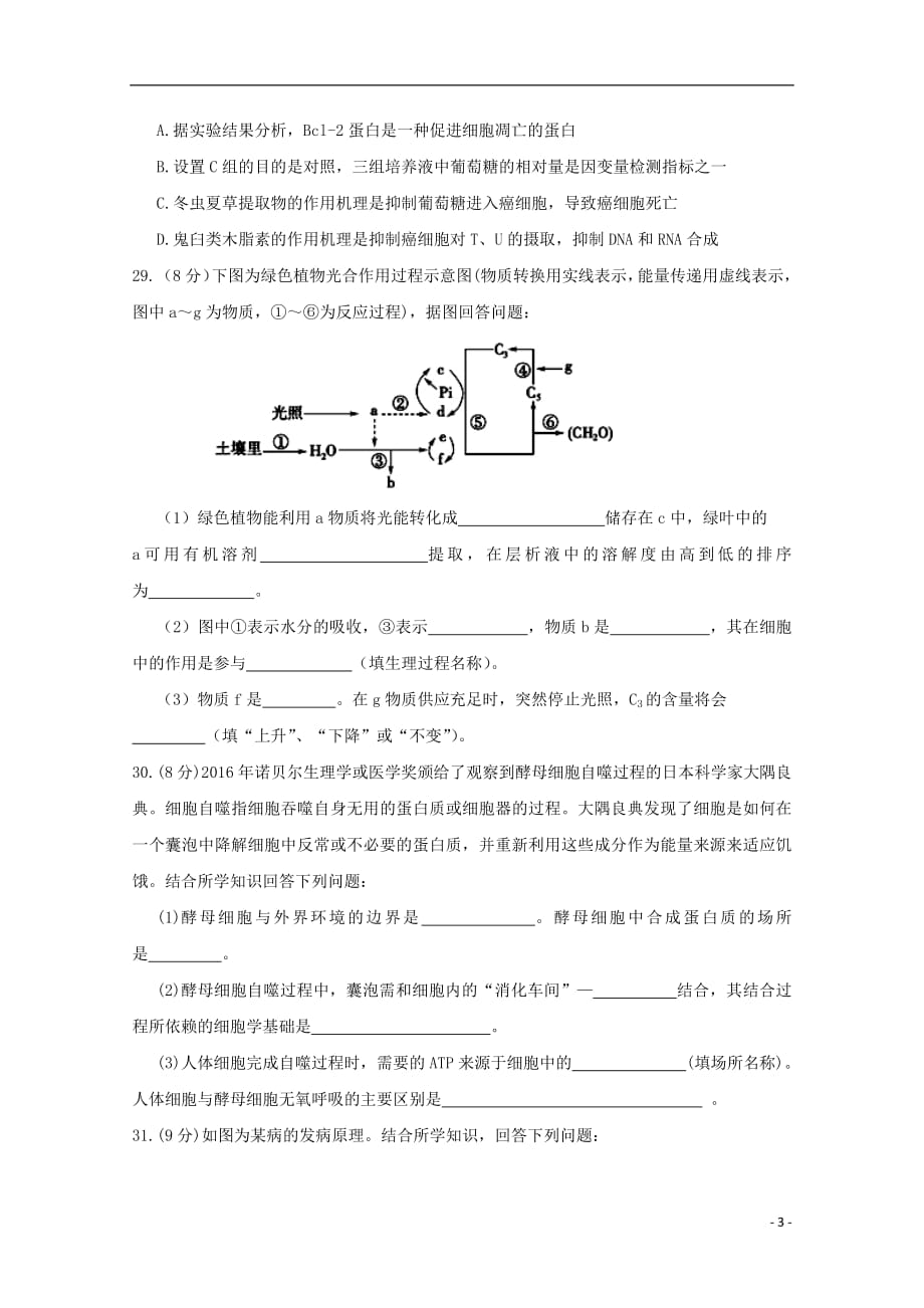 甘肃省兰州第一中学2019届高三生物上学期期中试题_第3页