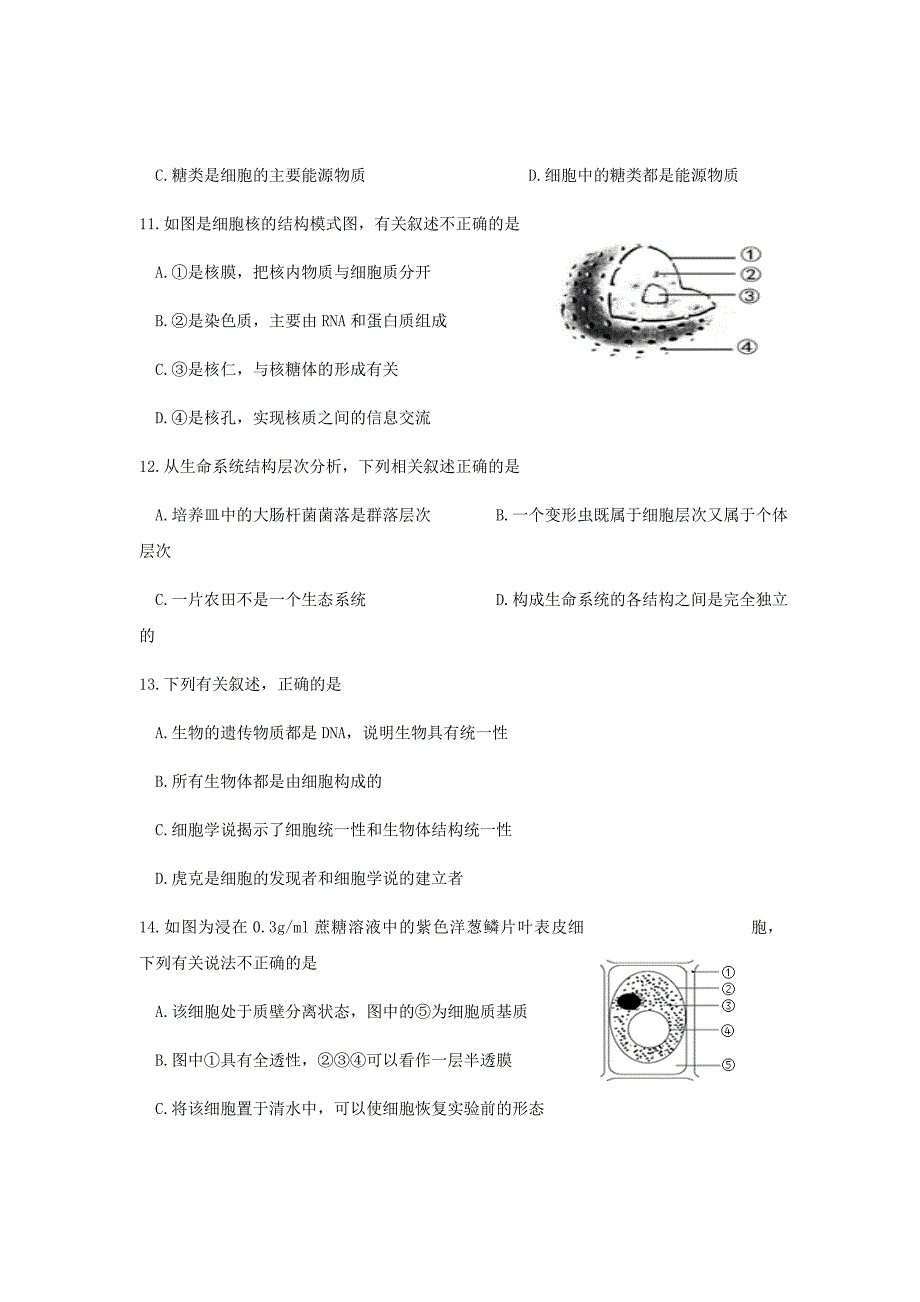 2018-2019学年四川省攀枝花市高一上学期期末教学质量监测生物试题Word版含答案_第3页