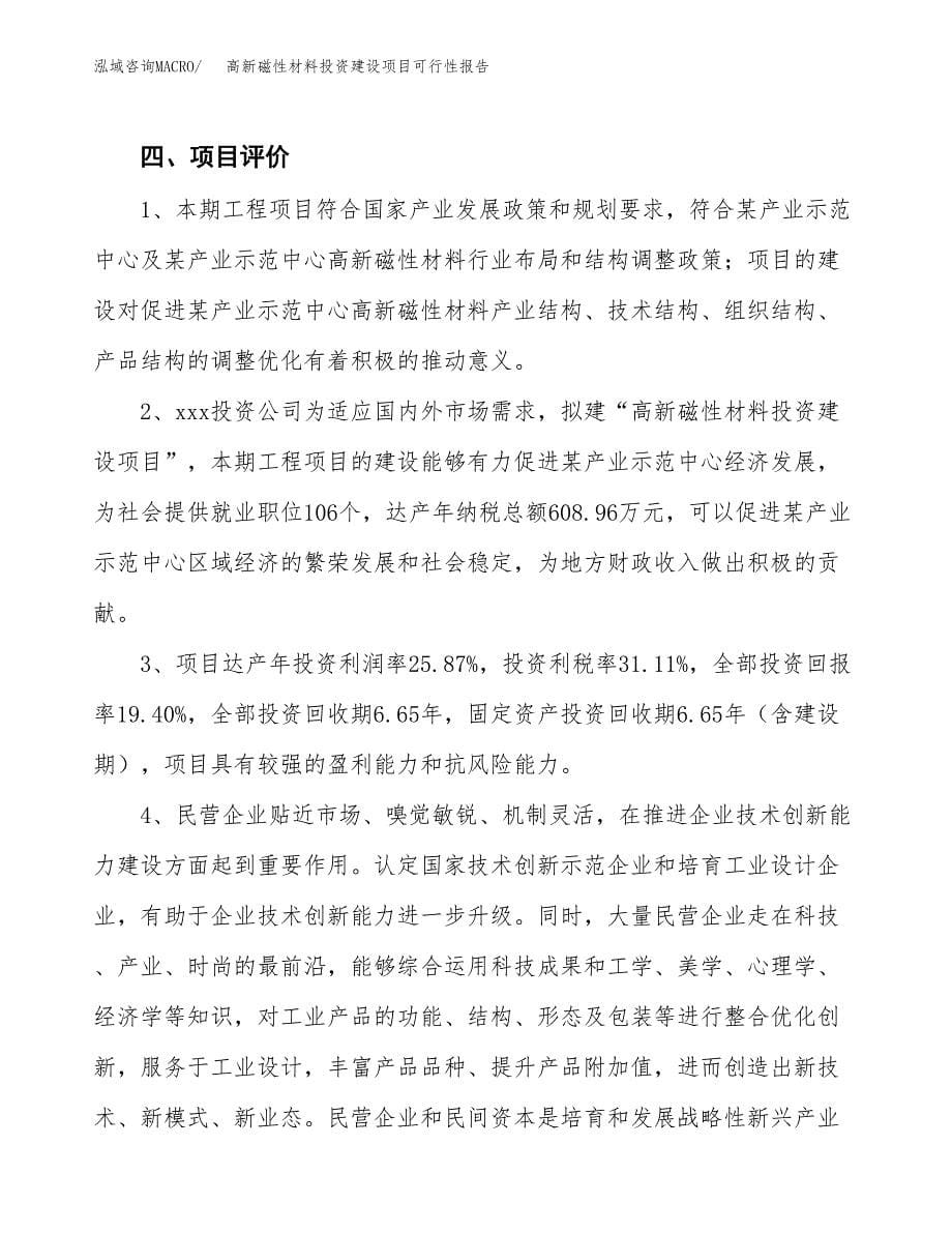 关于高新磁性材料投资建设项目可行性报告（立项申请）.docx_第5页