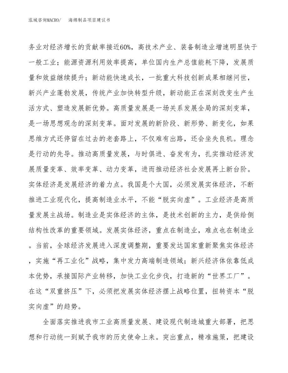 海绵制品项目建议书(项目汇报及实施方案范文).docx_第5页