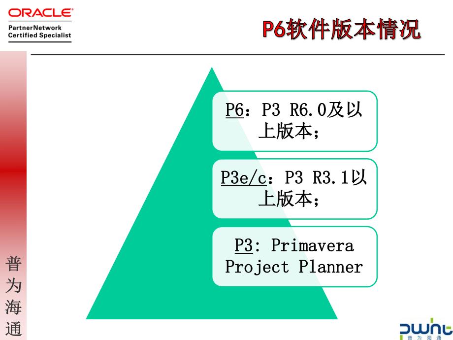 P6软件实现企业项目管理方法_第3页