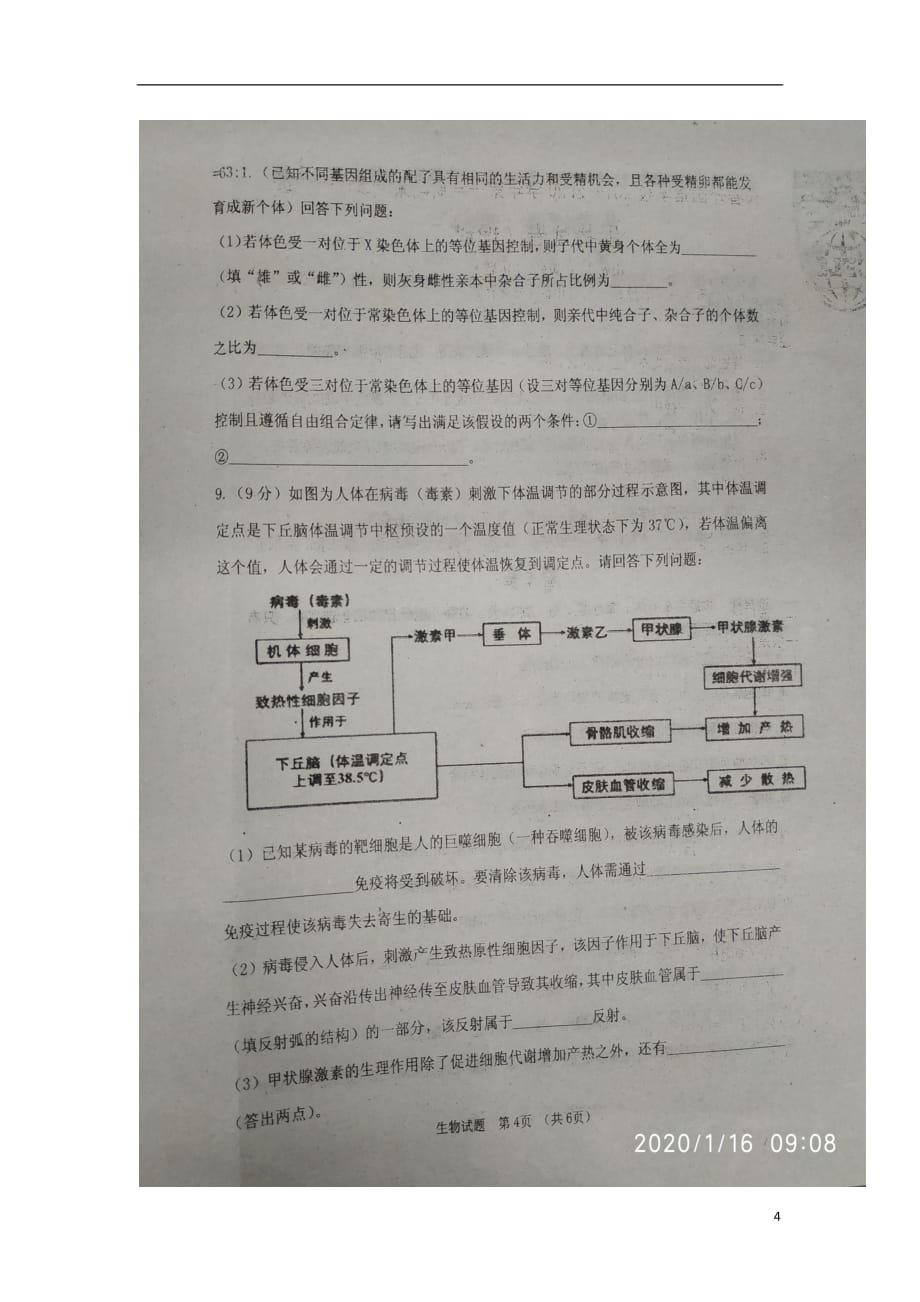 吉林省2019_2020学年高二生物上学期期末考试试题（扫描版无答案）_第4页