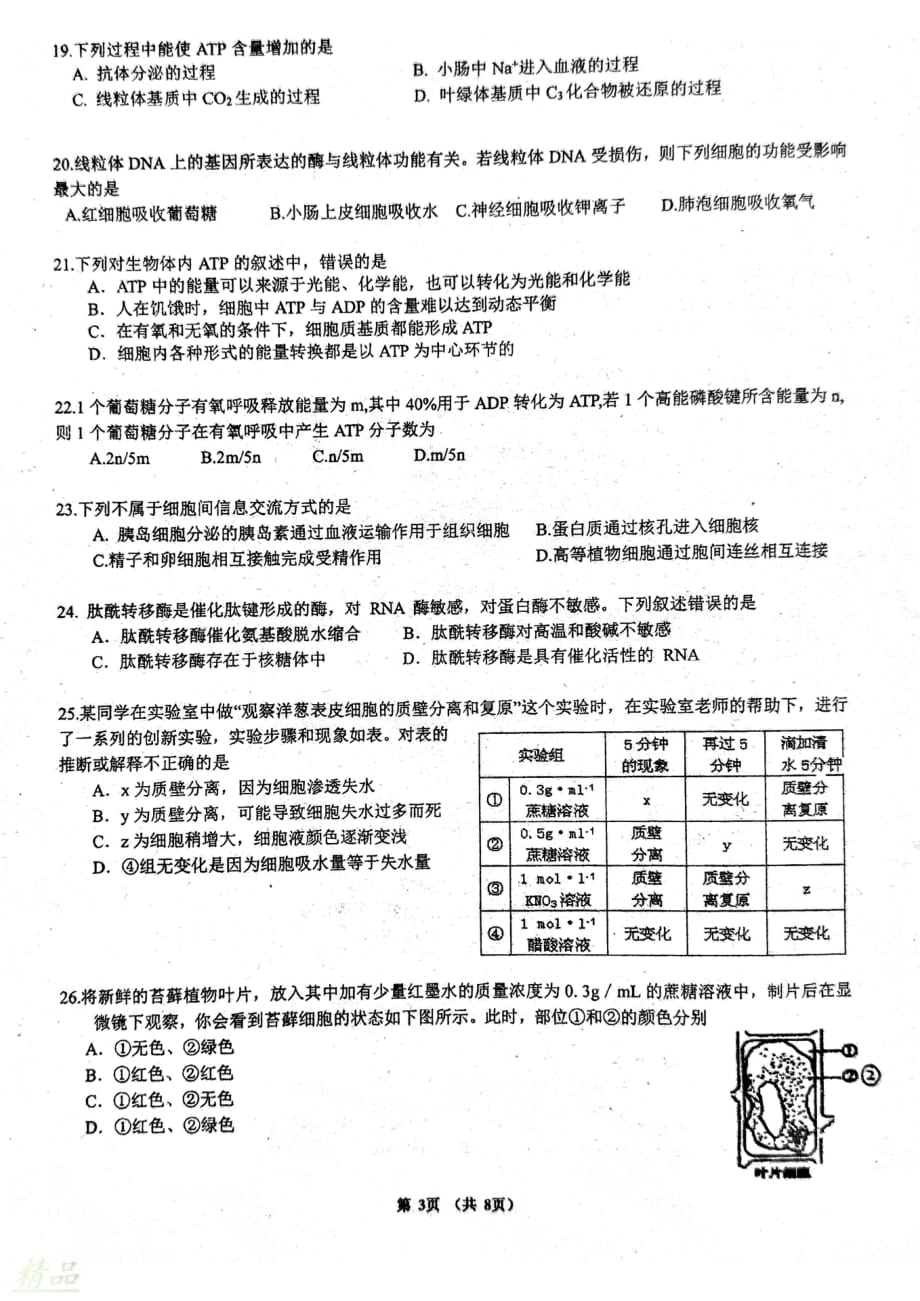 福建省2019_2020学年高一生物上学期期末考试试题_第3页