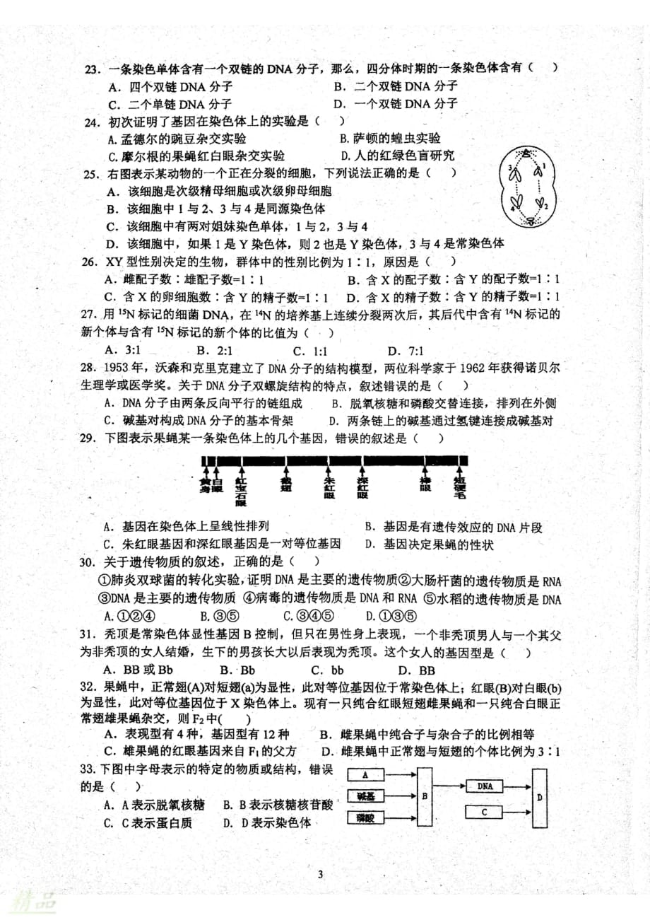 福建省2019-2020学年高二生物上学期期中试题_第3页