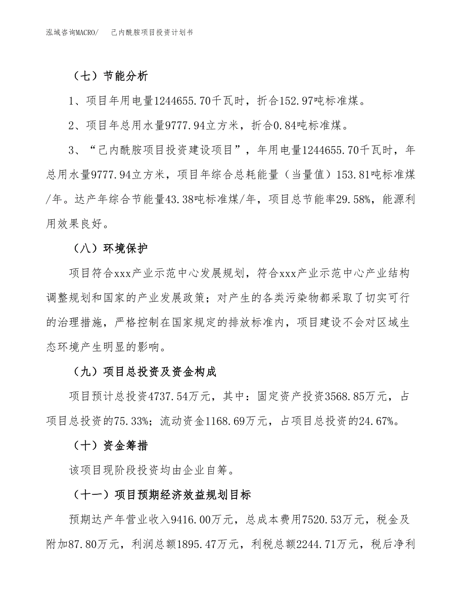 己内酰胺项目投资计划书(建设方案及投资估算分析).docx_第2页