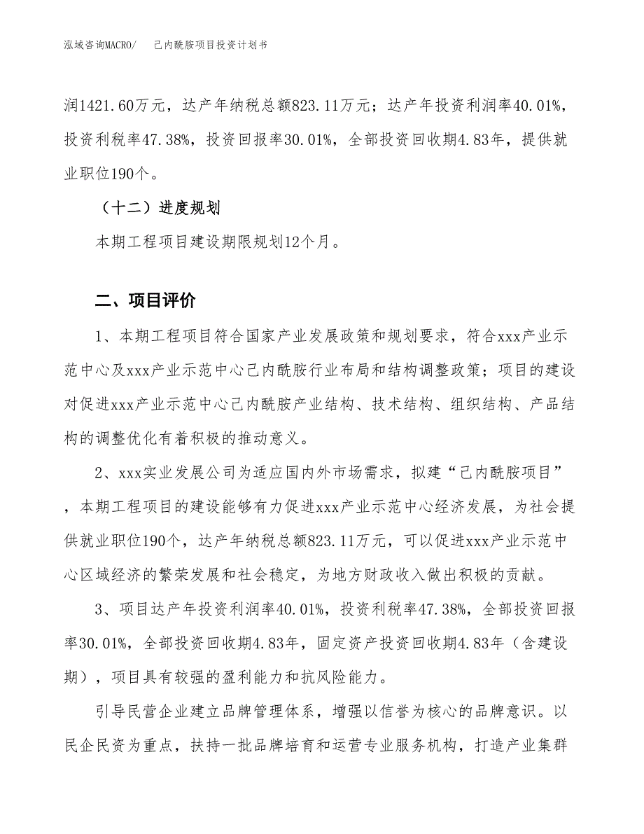 己内酰胺项目投资计划书(建设方案及投资估算分析).docx_第3页