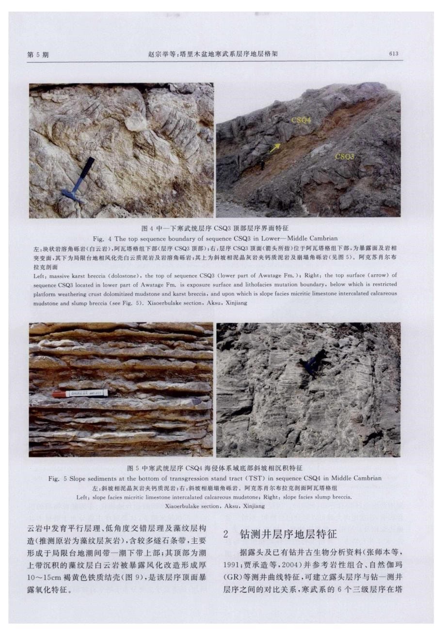 塔里木盆地寒武系层序地层格架.pdf_第5页