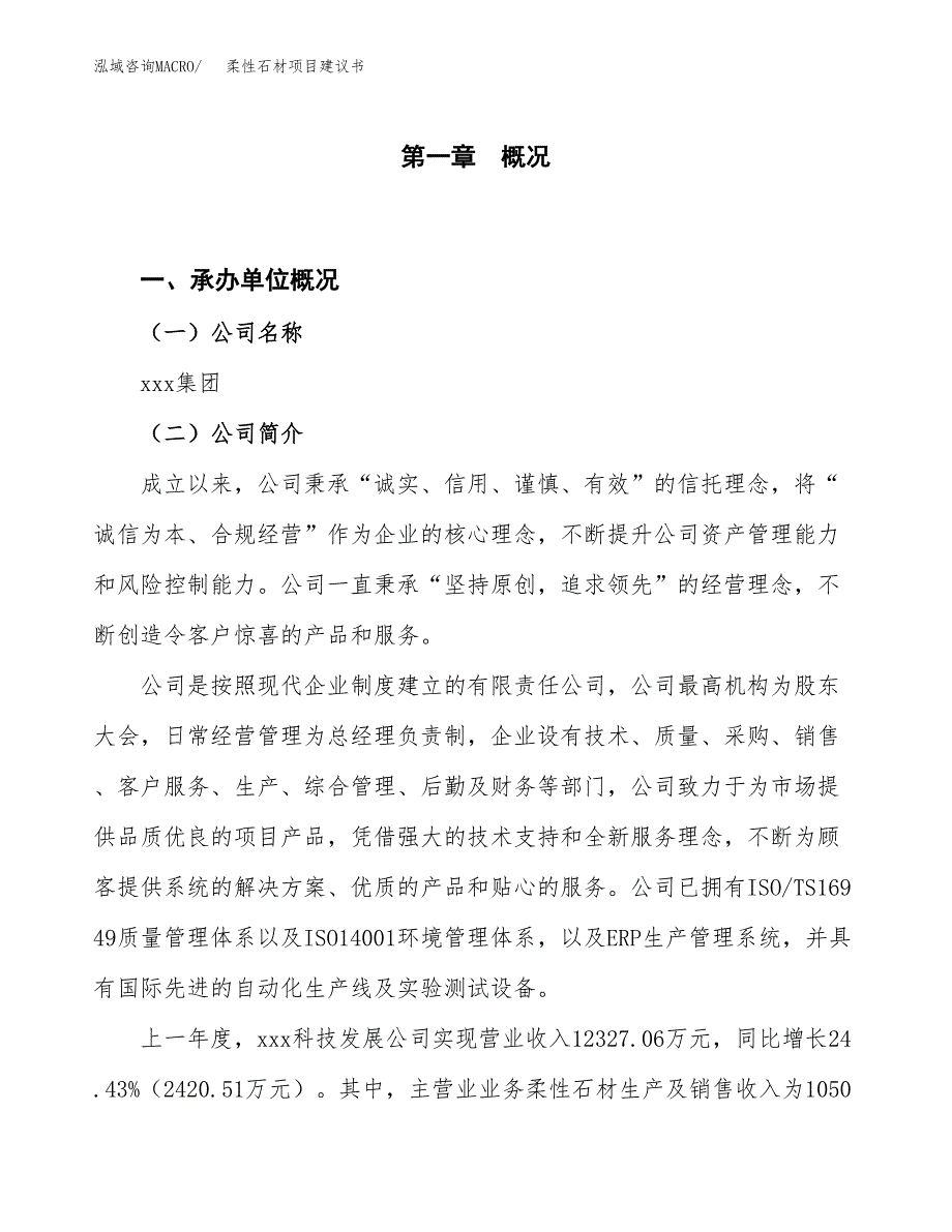 柔性石材项目建议书(项目汇报及实施方案范文).docx_第1页