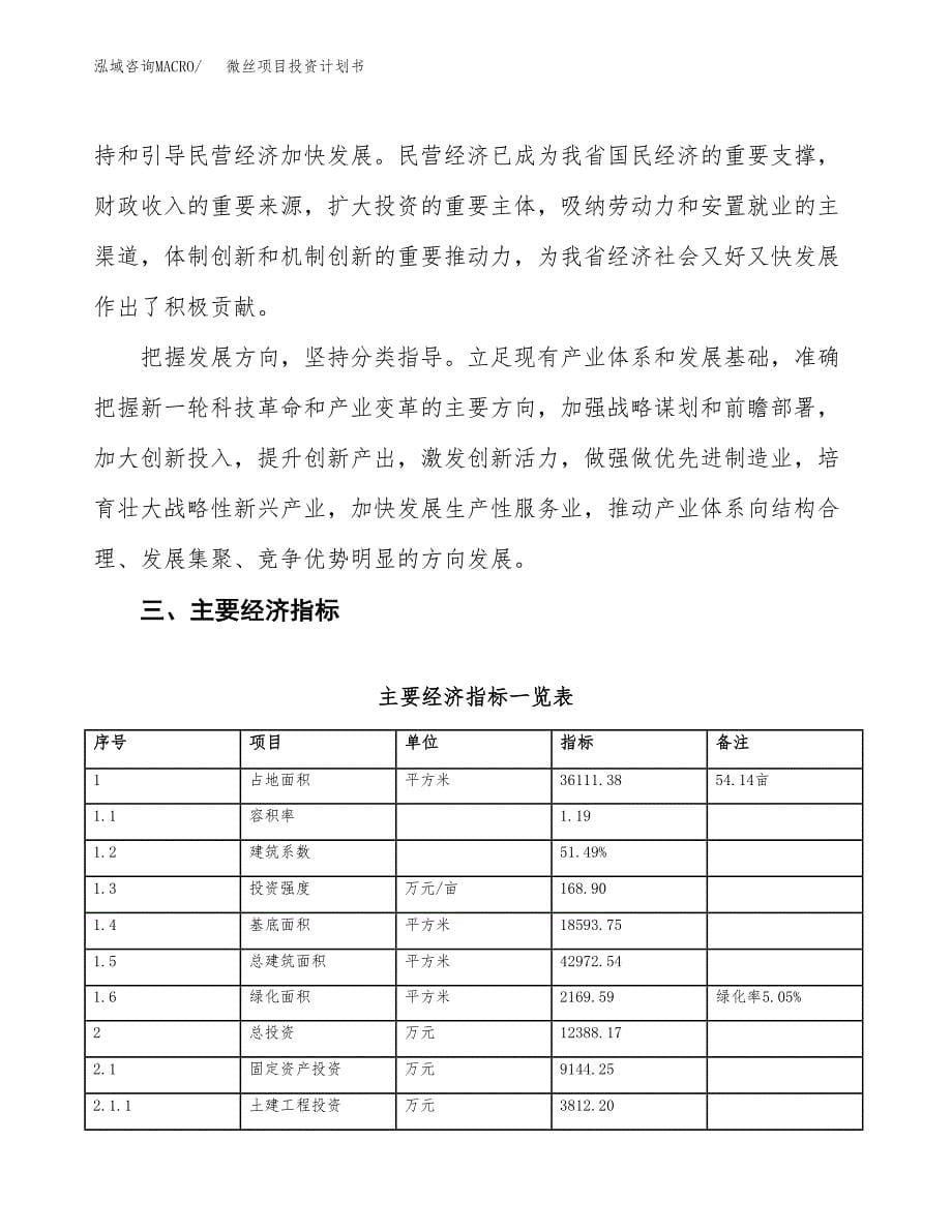 微丝项目投资计划书(建设方案及投资估算分析).docx_第5页