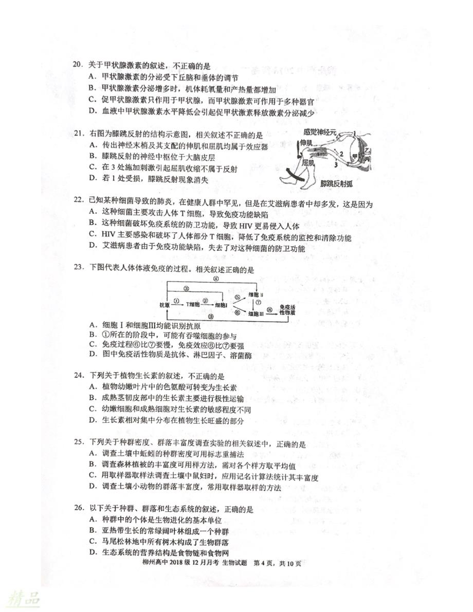 广西2019_2020学年高二生物12月月考试题_第4页