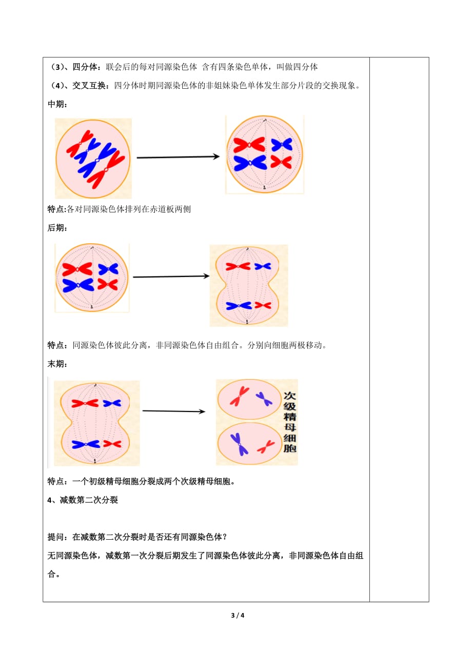 减数分裂第一课时教案_第3页