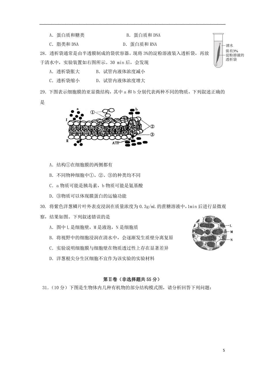 北京市丰台区2019_2020学年高一生物上学期期中试题（A）_第5页