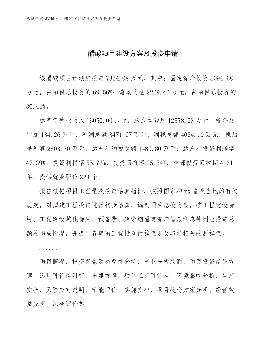 醋酸项目建设方案及投资申请_第1页