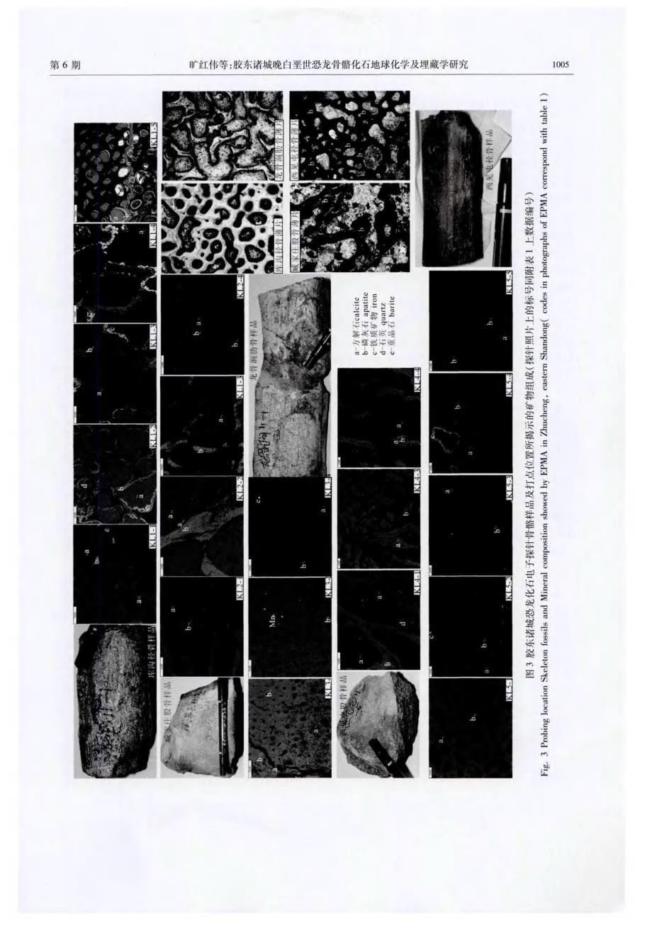 胶东诸城晚白垩世恐龙骨骼化石地球化学及埋藏学探究.pdf_第5页